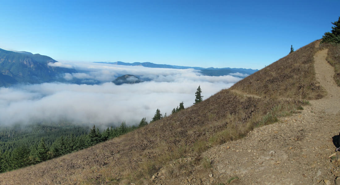 Dog Mountain Hike