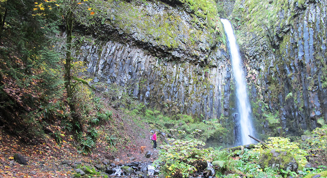 Dry Creek Falls Hike