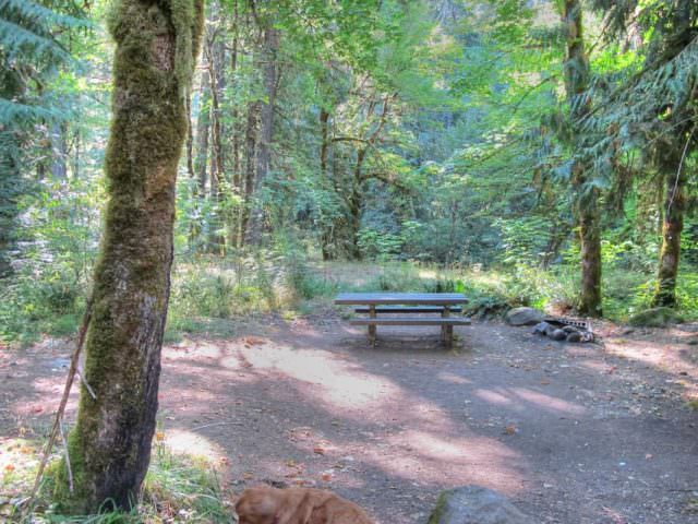 Ripplebrook Campground Site#1