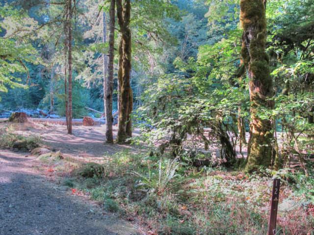 Ripplebrook Campground Site#12