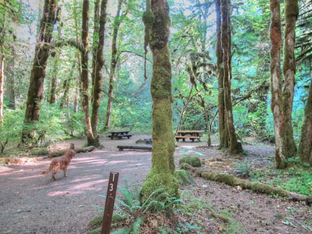 Ripplebrook Campground Site#13