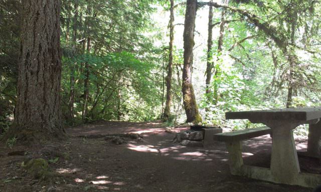 Ripplebrook Campground Site#14