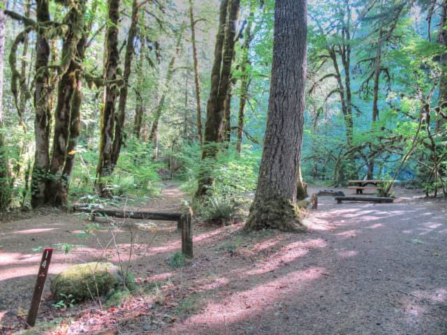 Ripplebrook Campground Site#14