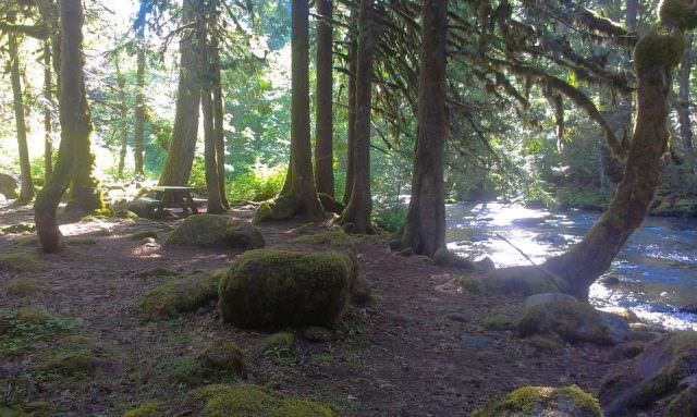 Ripplebrook Campground Site#3