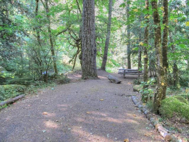 Ripplebrook Campground Site#4