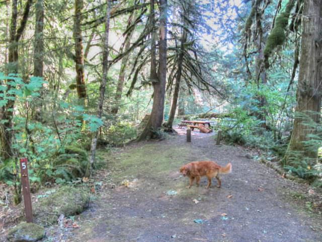 Ripplebrook Campground Site#5