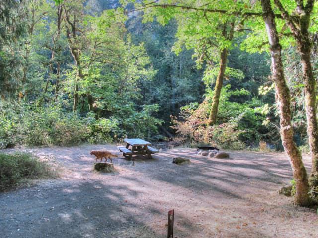 Ripplebrook Campground Site#6