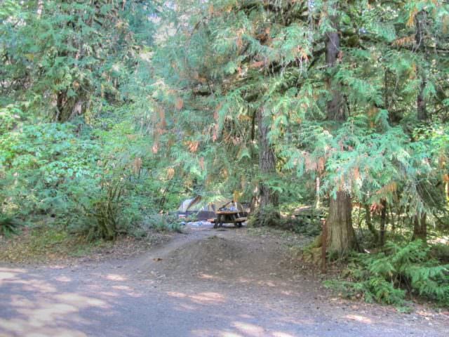 Ripplebrook Campground Site#7