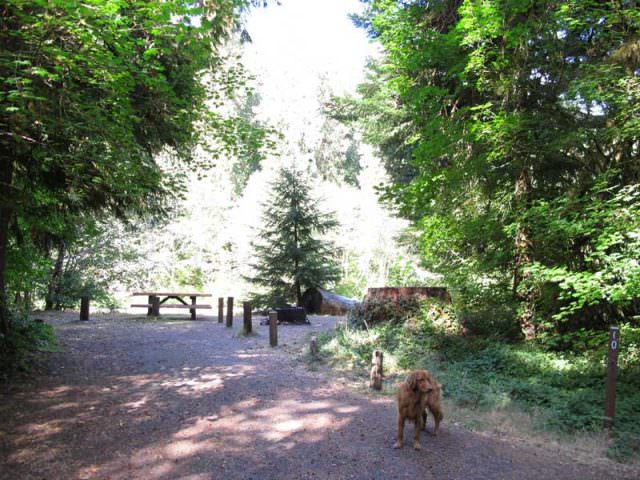 Riverside Campground Site#10