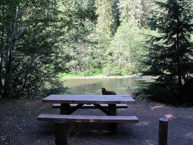 Riverside Campground Site#10 River View