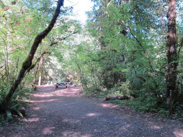 Riverside Campground Site#14