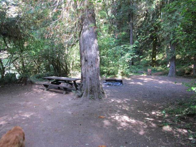 Riverside Campground Site#15 2