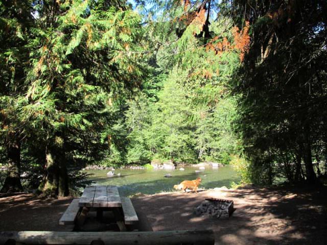 Riverside Campground Site#7