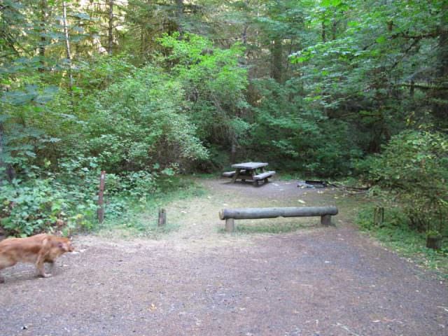 Riverside Campground Site#8