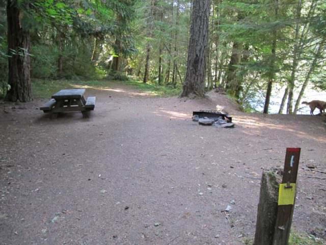 Riverside Walk in Site #1