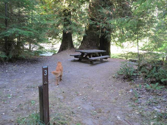 Riverside Walk in Site #3