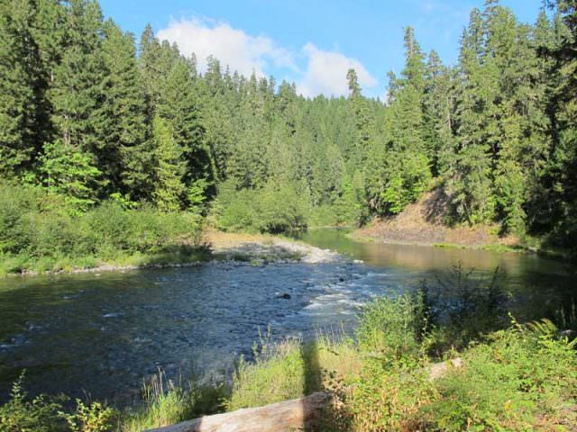 View of the Clackamas River