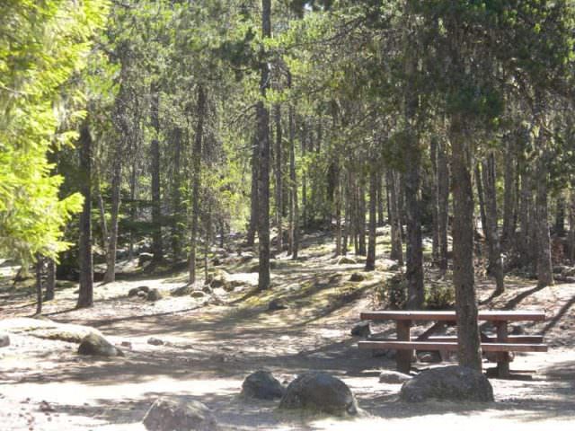 Campsite at McNeil
