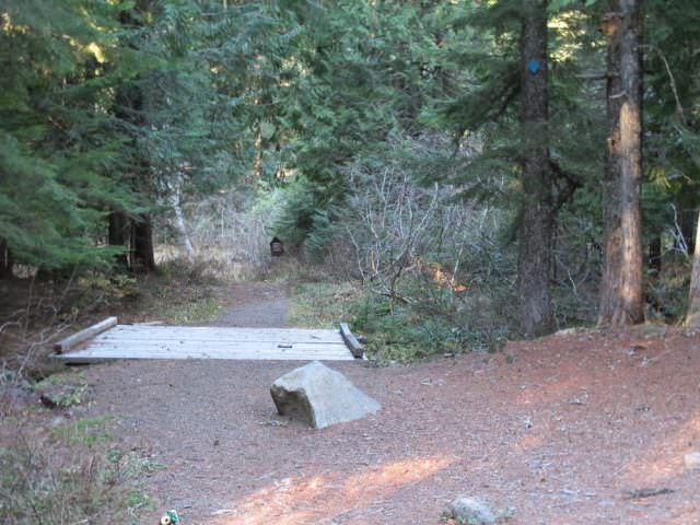 Hiking Trail to Government Camp