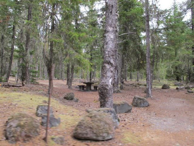 McNeil Campground