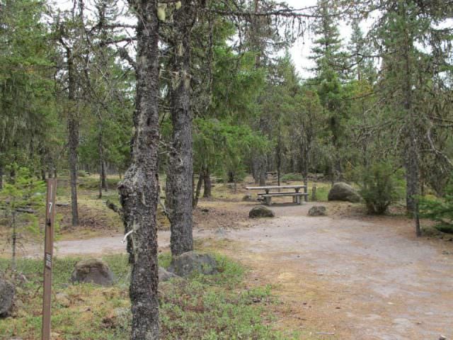 McNeil Campground