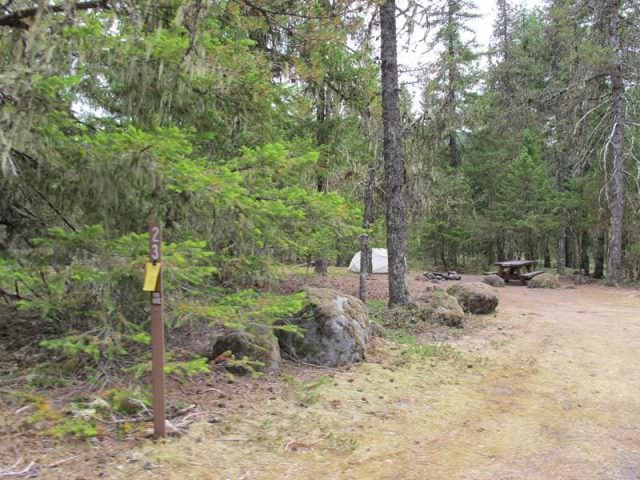 McNeil Campground Site 23