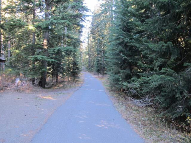 Road through camp