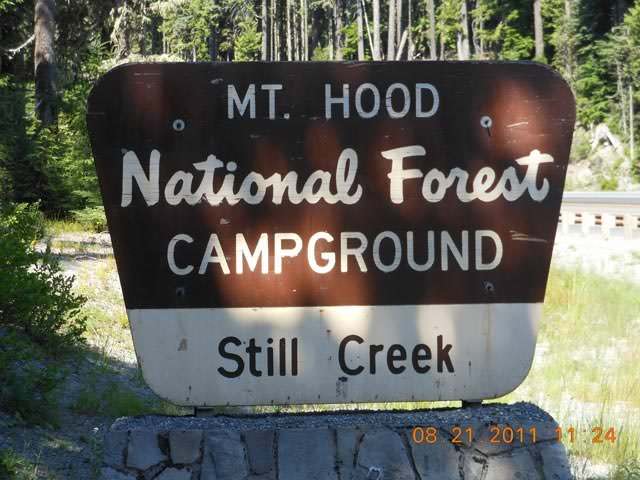 Still-Creek-08-20-2011-011