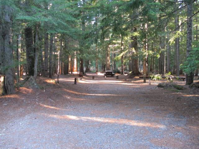 Still Creek Campground Site#13