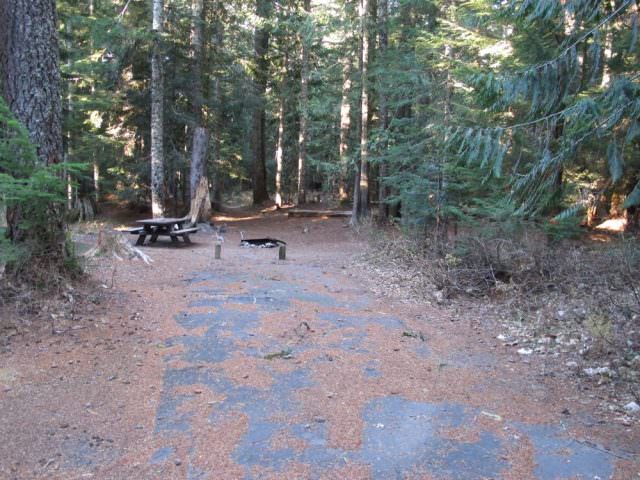 Still Creek Campground Site#14
