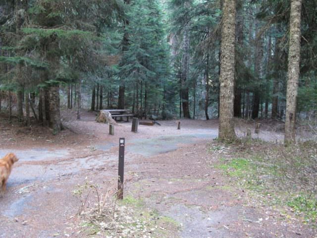 Still Creek Campground Site#15
