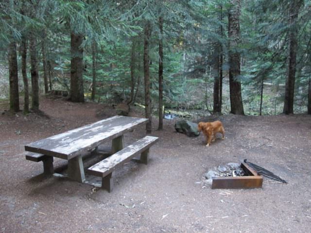 Still Creek Campground Site#15 In site