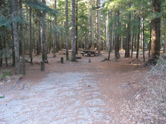 Still Creek Campground Site#17