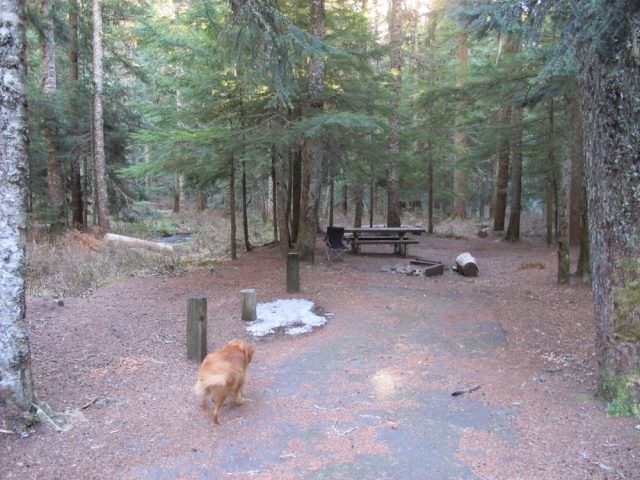 Still Creek Campground Site#18