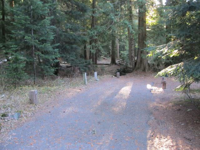 Still Creek Campground Site#19