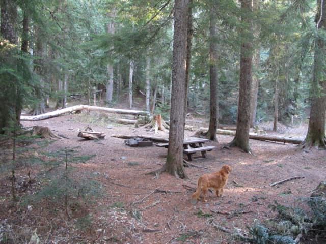 Still Creek Campground Site#19 in site