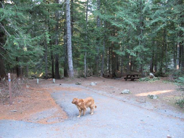 Still Creek Campground Site#2
