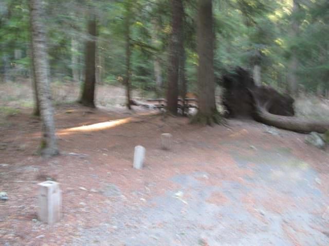 Still Creek Campground Site#21