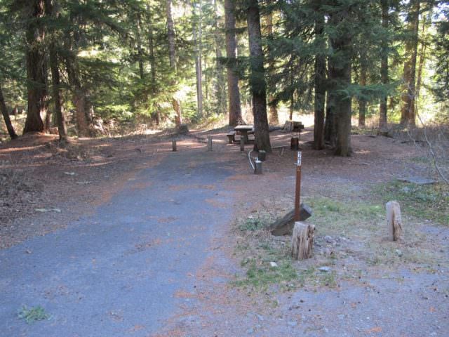 Still Creek Campground Site#27