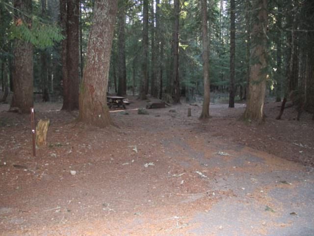 Still Creek Campground Site#4