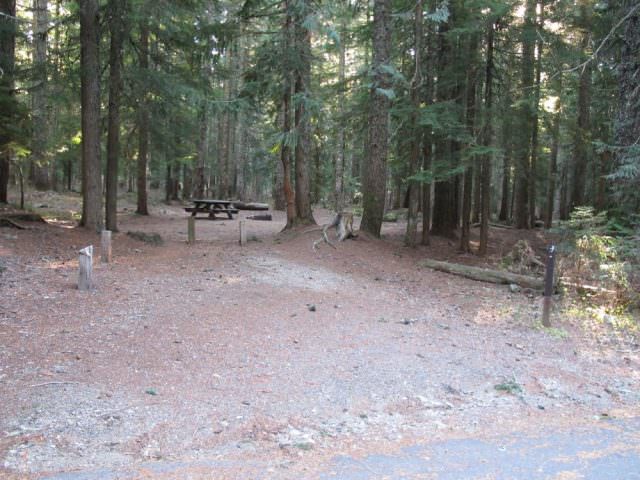 Still Creek Campground Site#5