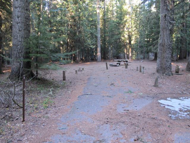 Still Creek Campground Site#6