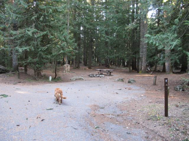 Still Creek Campground Site#7