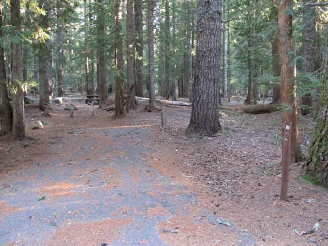 Still Creek Campground Site#8