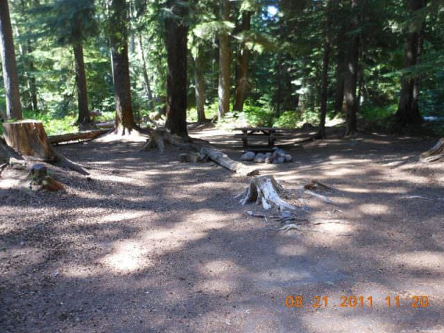 Still Creek Camping