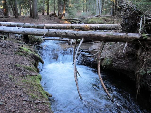 Still Creek through camp