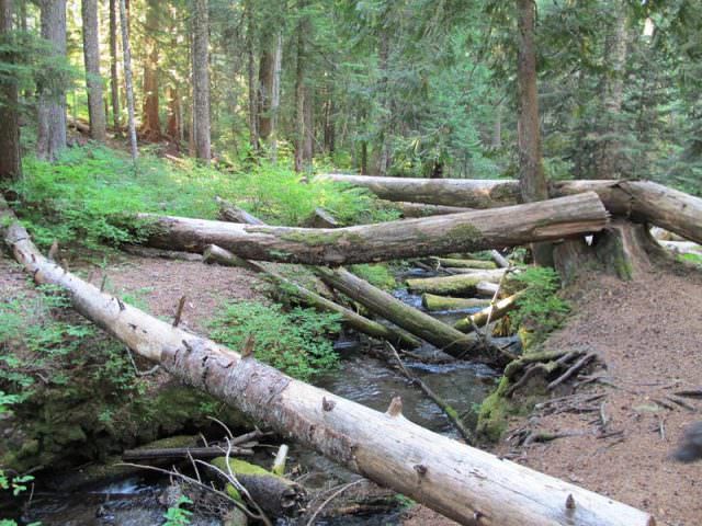 Still creek logs