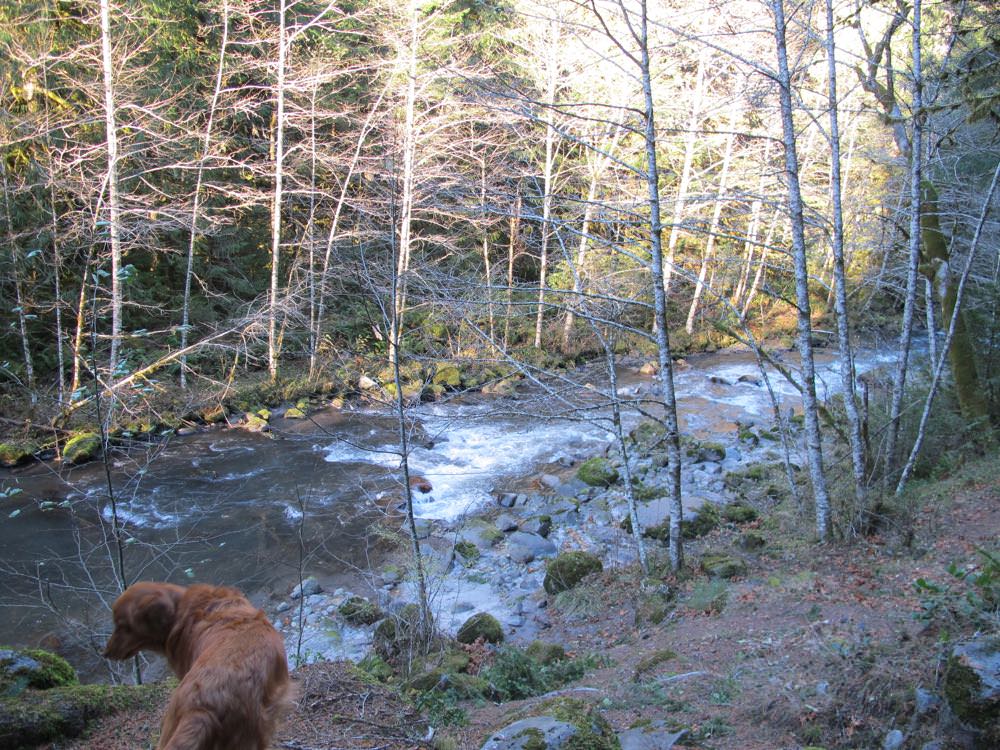 Tollgate Campground