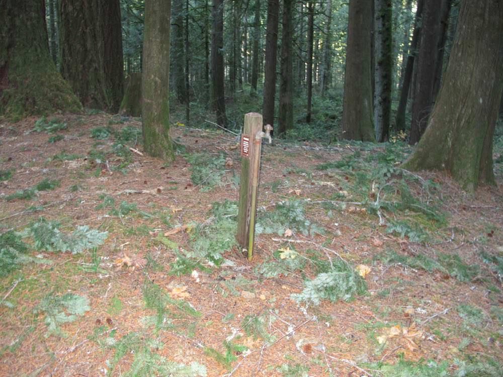 Escape to Oregon's Jewel: Tollgate Campground – Your Unforgettable Adventure Awaits!