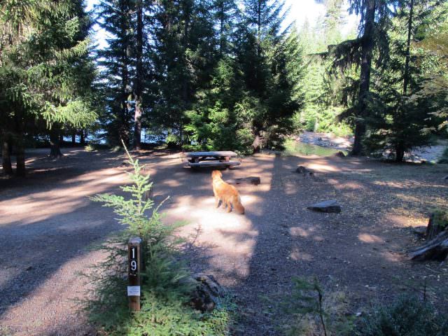 Hoodview Campground Site #19
